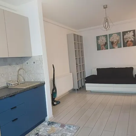 Ariel Deluxe - Balcony & Free Parking Braşov