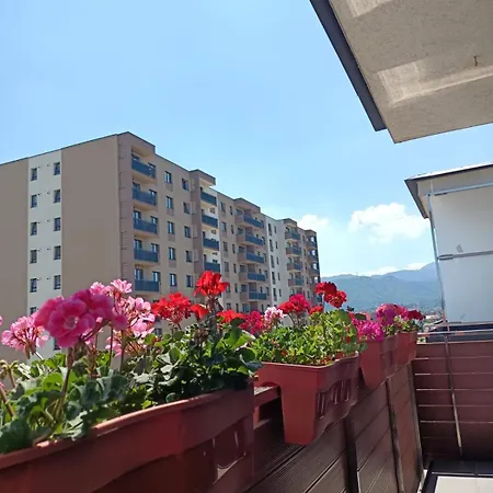 Ariel - Balcony & Free Parking *