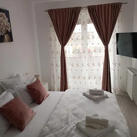 Ariel Deluxe - Balcony & Free Parking * 브라쇼브