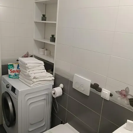 Apartment Ariel Deluxe 2 & 3 Coresi *