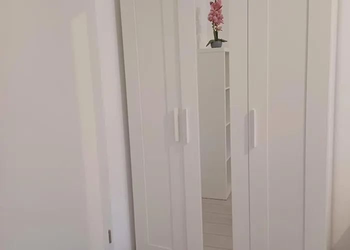 Ariel Deluxe 2 & 3 Coresi