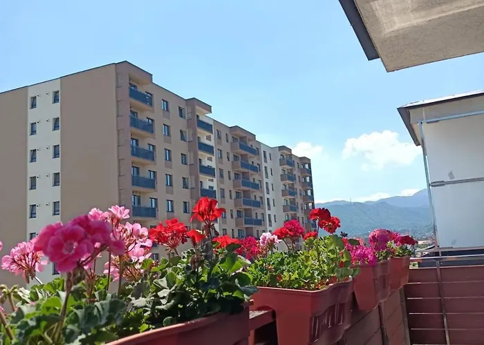 Ariel Family & Comfort 2 & 3 Coresi *