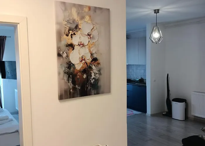 Ariel Family & Comfort 2 & 3 Coresi