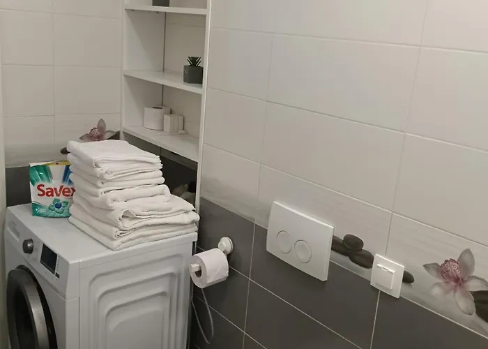 Appartement Ariel Deluxe 2 & 3 Coresi *