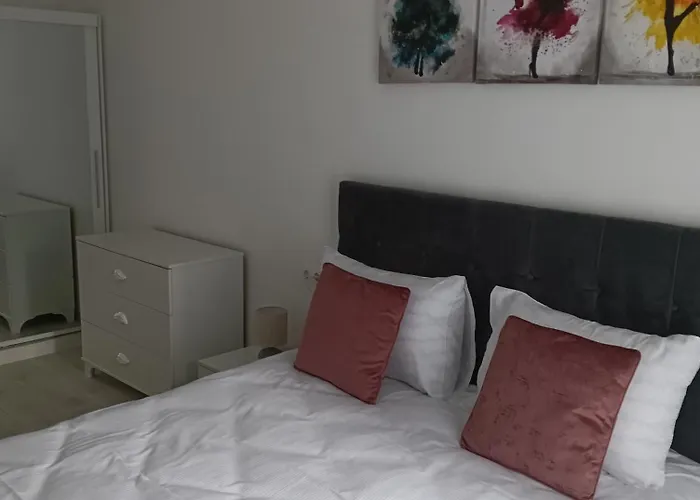 Ariel Deluxe 2 & 3 Coresi *